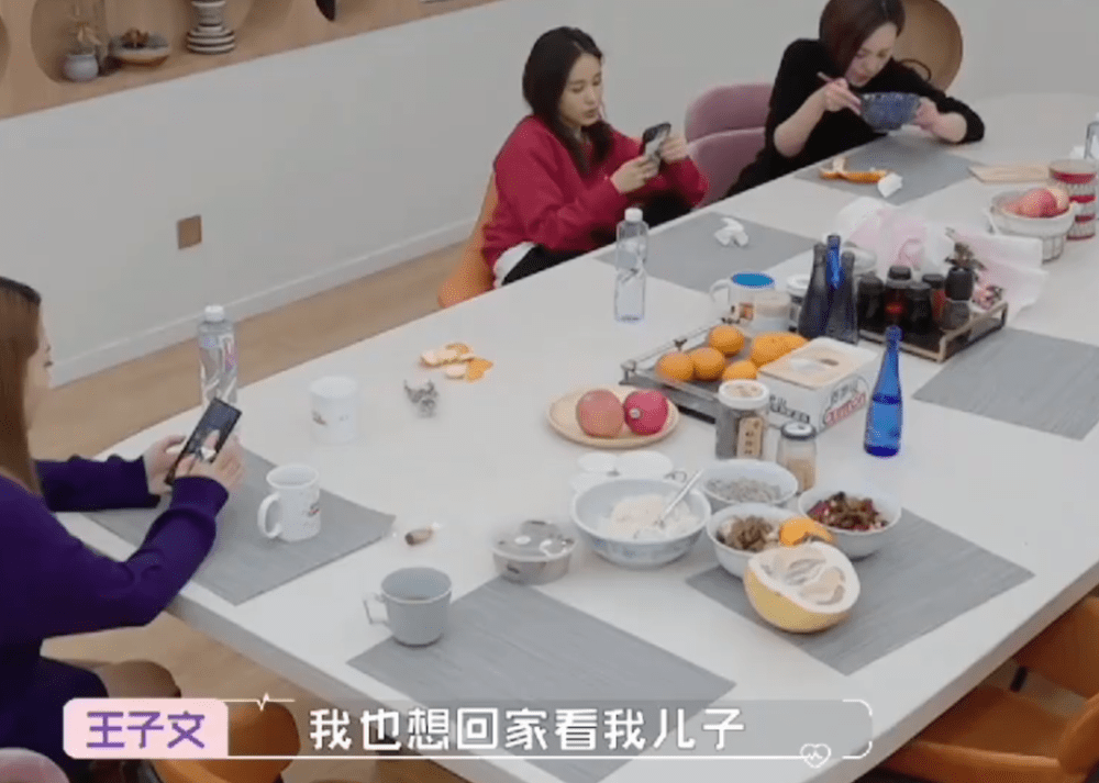 家的N次方那些演员们，只有王子文活跃至今，而他们一个不如一个