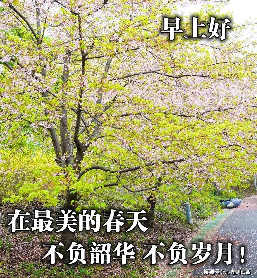 21年3月16日星期二清晨早上好问候祝福动态表情带字温馨图片精选 心境