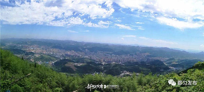 都匀农村人口_都匀毛尖图片