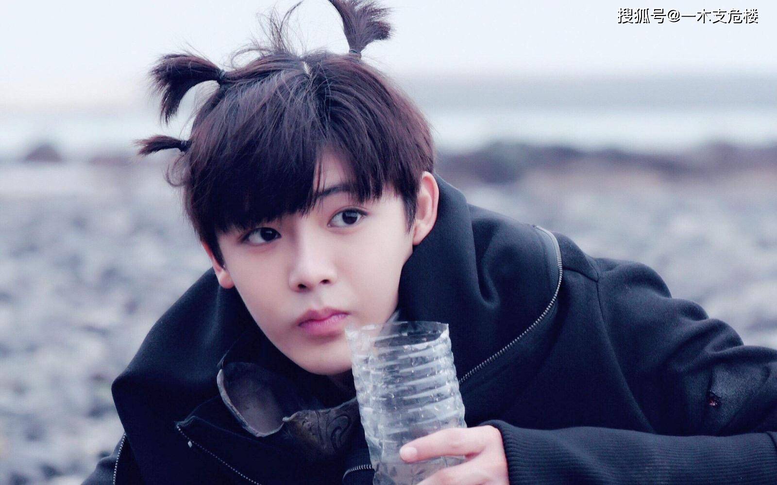 出道15年平步青云为何区区234万就让尚雯婕被限制消费