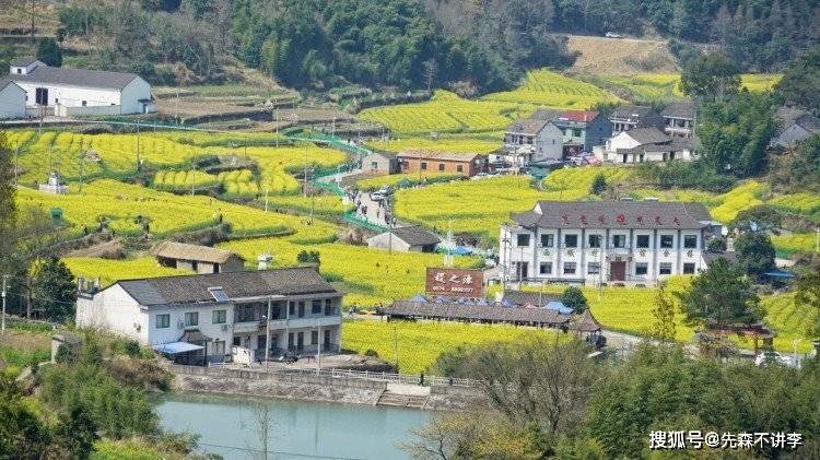 春光乍泄赏花正当时，宁波有个偏远的小山村，被誉为浙东的小婺源