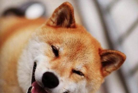41ce7b83a325404b862fa97c3855e508.jpeg