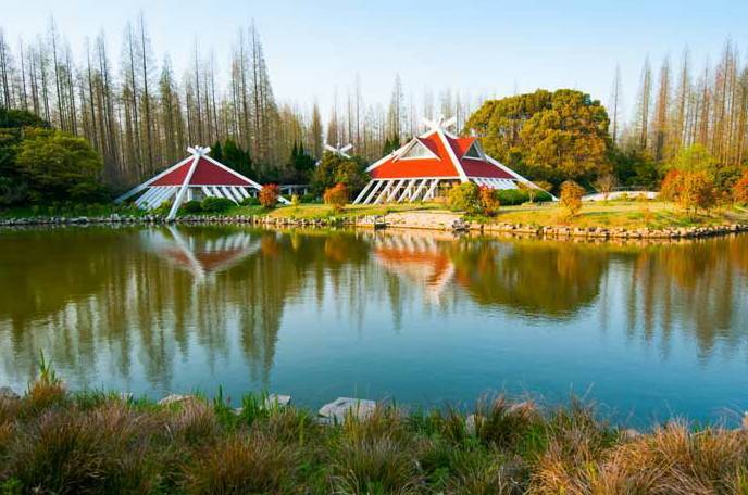 上海|东平国家森林公园