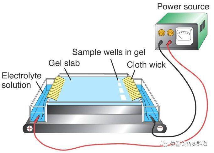木木西里仪器说仪器百科之仪器类型简介凝胶电泳