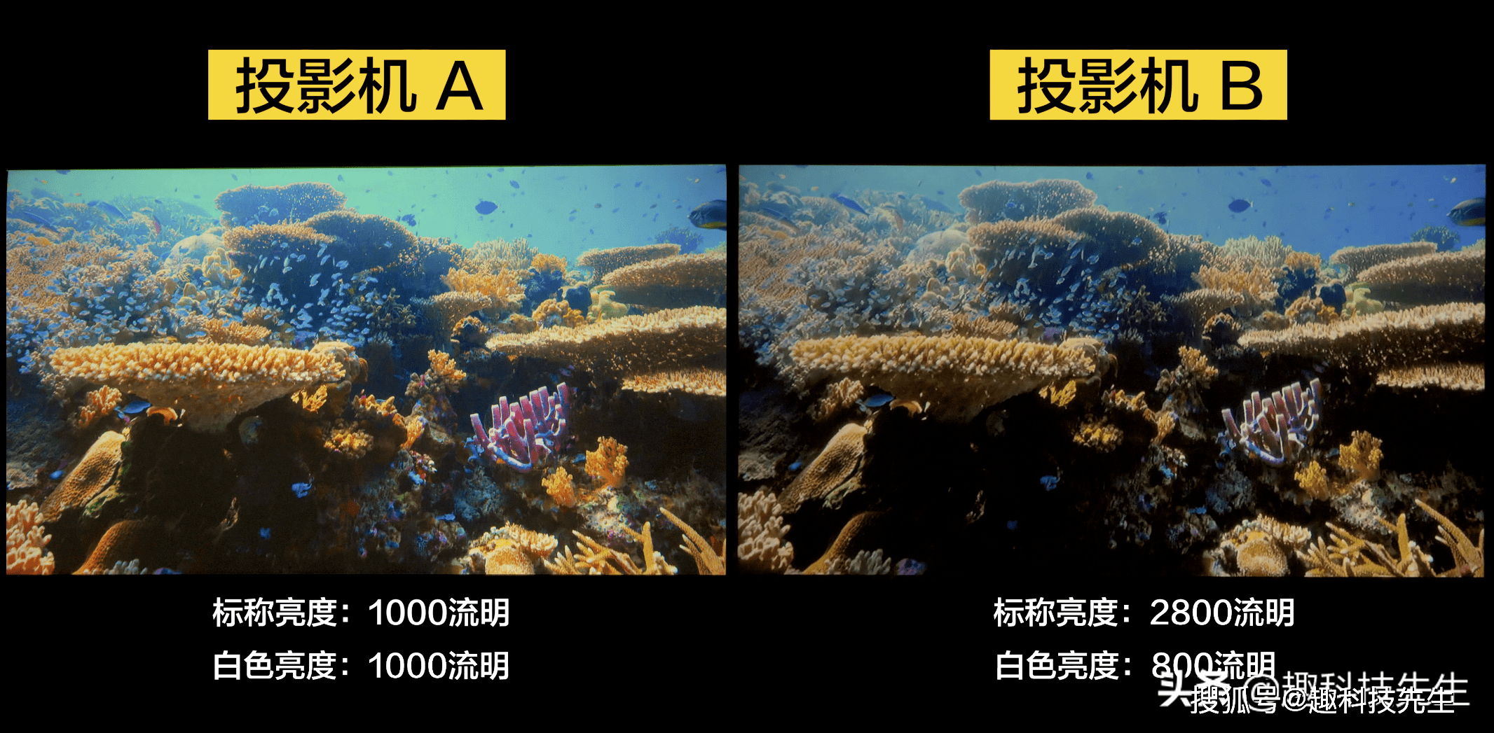 画质|不看不知道！投影机画质更好的秘密——CLO色彩亮度