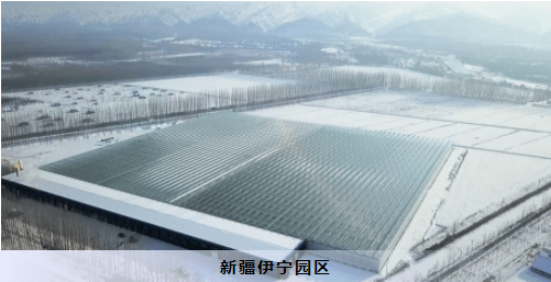 建设|【江苏绿港】智能玻璃温室打造现代农业典范！