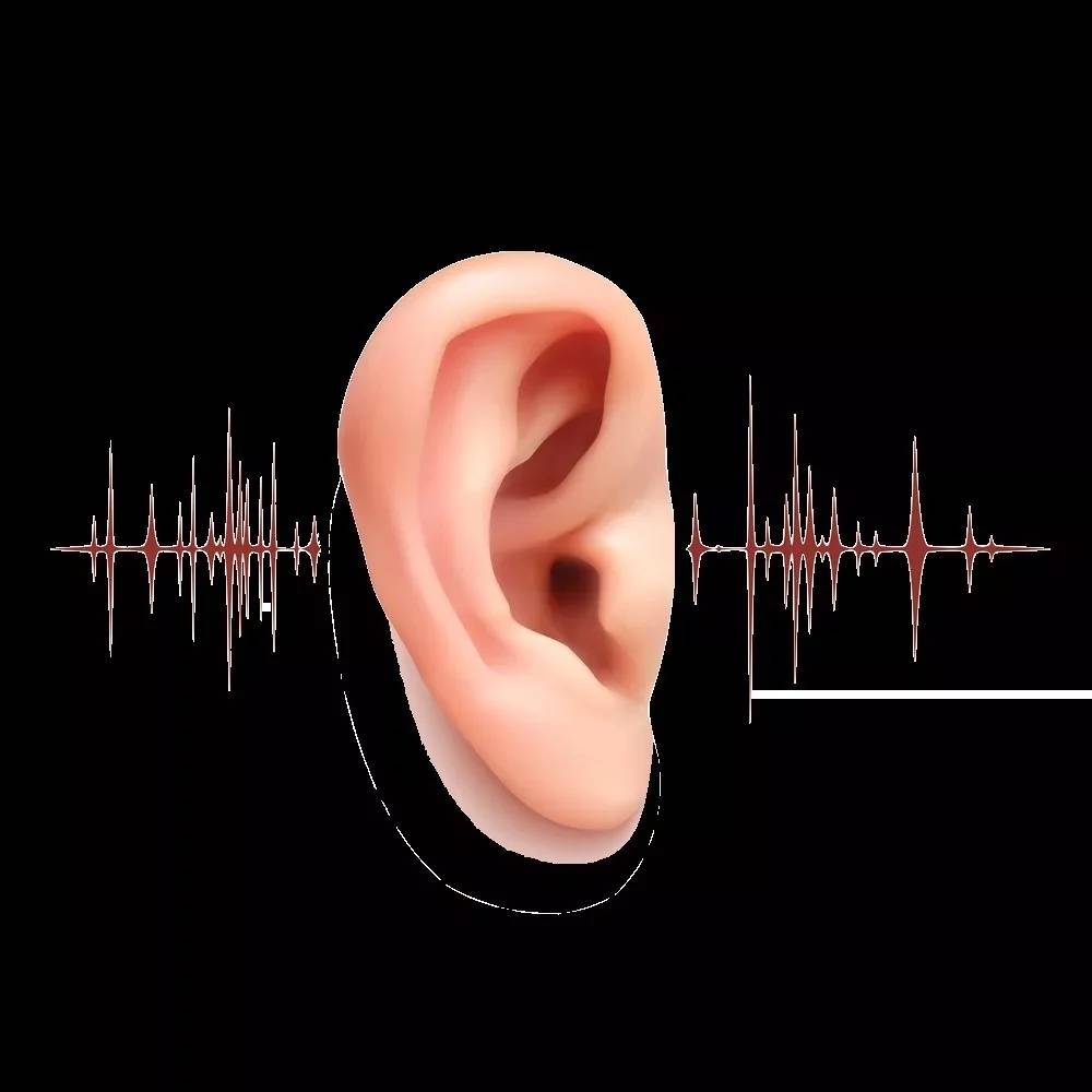 怎样让耳朵恢复听力 按摩耳朵耳鸣消失了