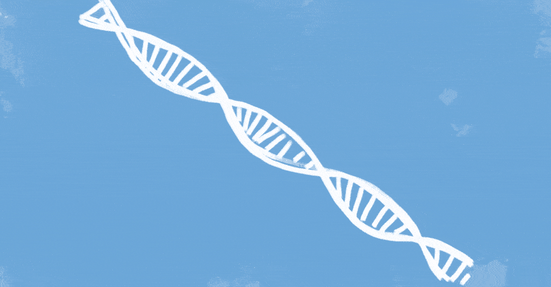 1079_563gif 动态图 动图