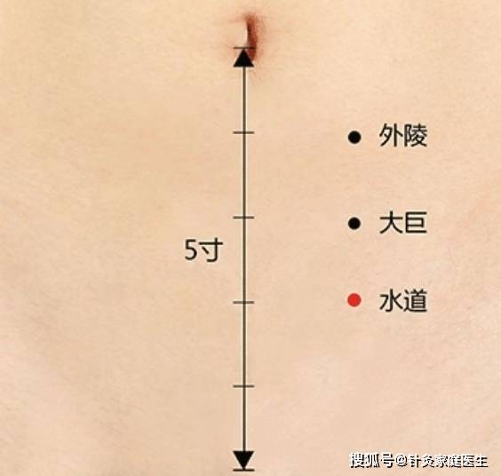 穴位定位在小腿前外側,當犢鼻下6寸,距脛骨前緣一橫指處.