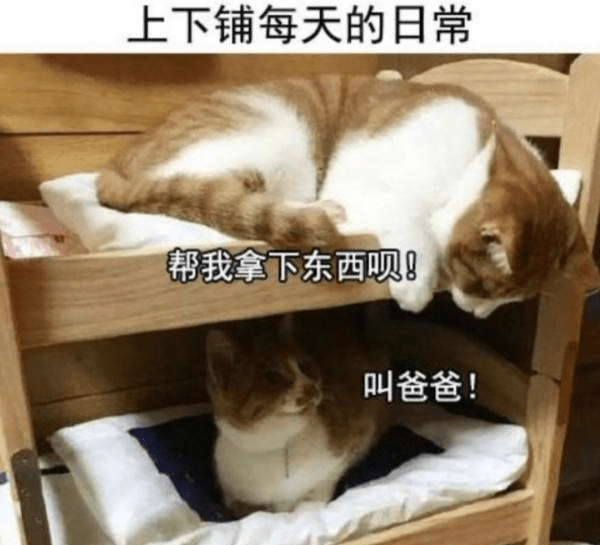 原创
每日一笑:穿衣服时都说黑色显瘦,我怎么看着不对劲啊