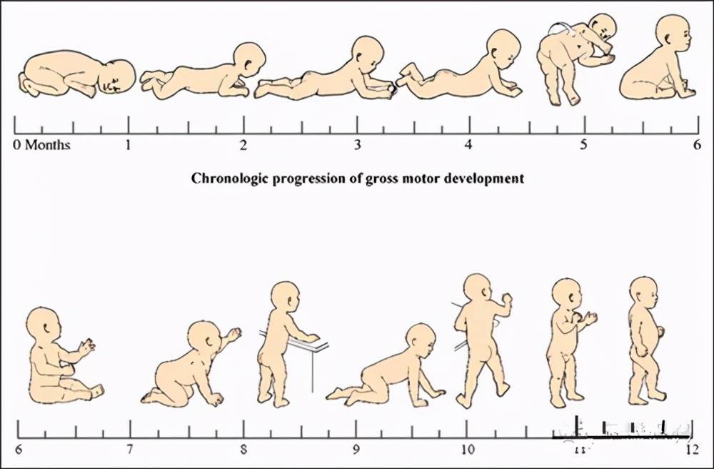 3个月不会抬头4个月还不会翻身多是家长忽略了这些引导方法