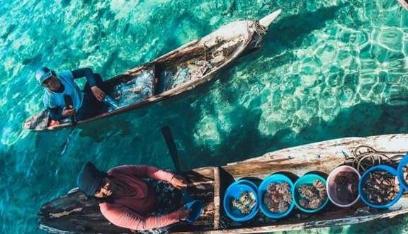 世界上没有国籍的民族，一生都在海上漂泊，向游客贩卖海鲜为生