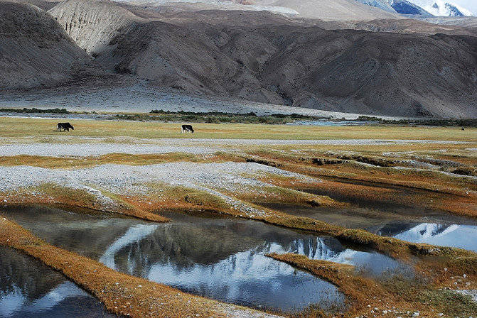到新疆，这十个景点是不可不去之处