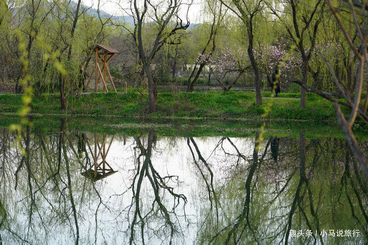除西湖外，杭州这2个免费景点赏最美春色，3月来旅行最适合