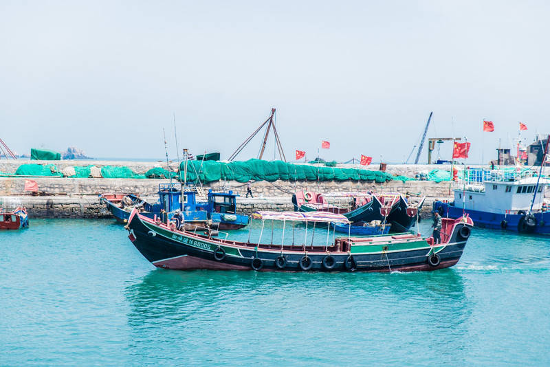 浙江私藏了一个肥美的小海岛，跟着渔民出海，体验收获的感觉！