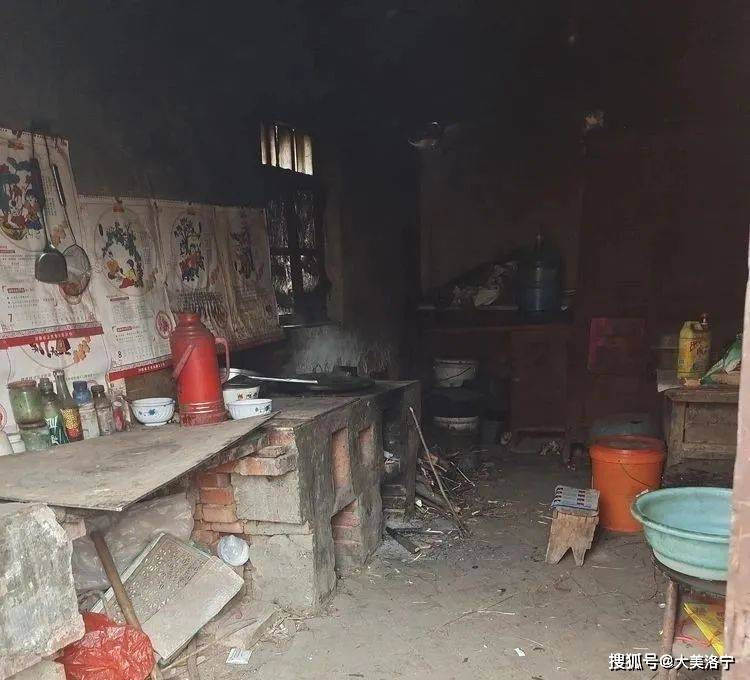 洛宁程志民——桃缘上观(图21)