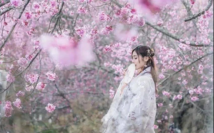 汝南东方神韵·郁金香嘉年华带你嗨翻天!关注我们,还有超多惊喜福利!