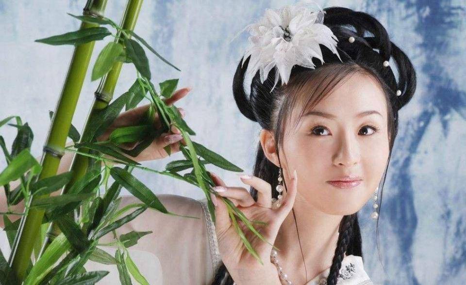 春秋战国二十位美女第一西施第二褒姒第五赵姬第十四芈月