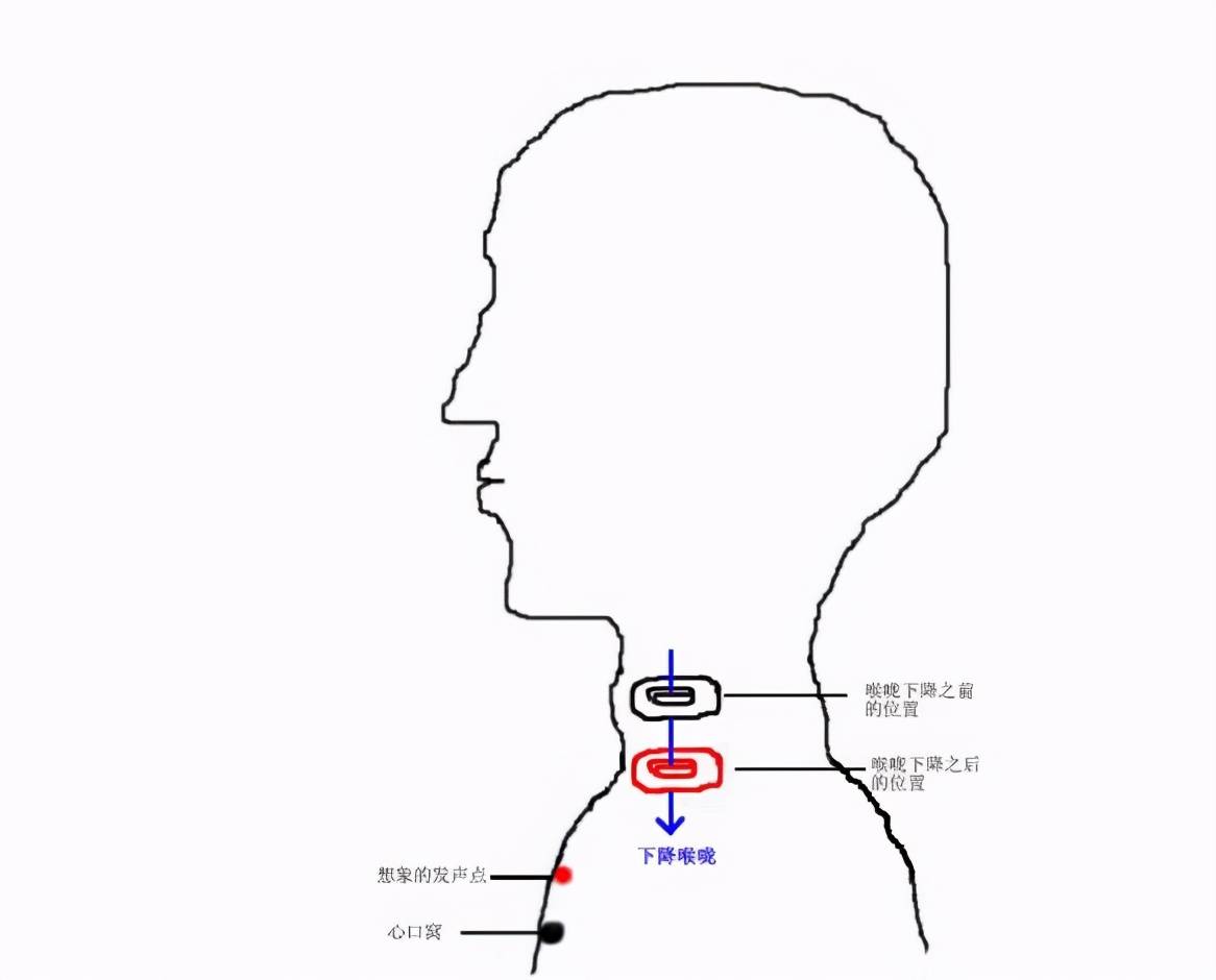 eea3d8764c134a5ba893cc736ae406ab.jpeg