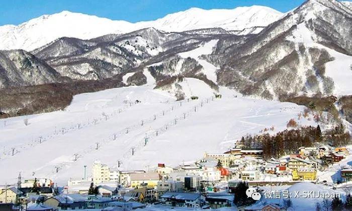 日本最适合初学者完成滑雪首秀的滑雪场大盘点
