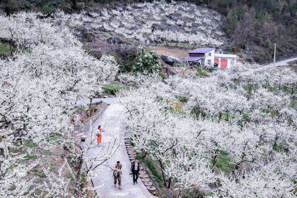 不负三峡好风光 记自驾游巫山之行