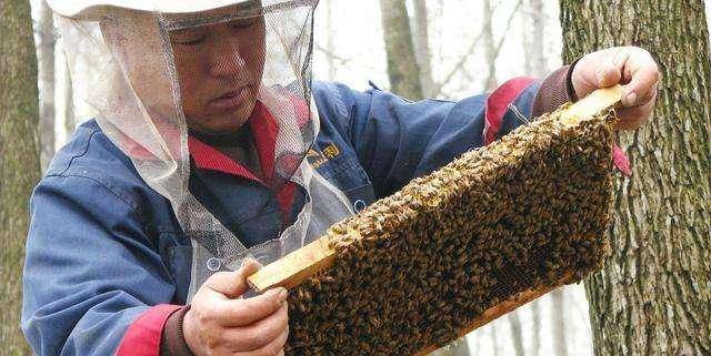 什么吃的不能放时间长 47f9f47af39b438694c5d8f3557a4b15.jpeg