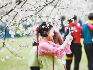 因樱花季成旅游热门目的地 武汉文旅市场迎来“开门红”