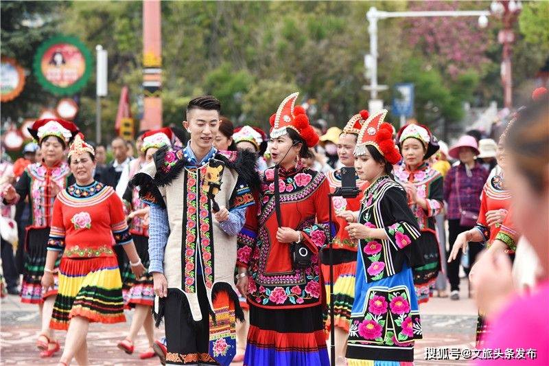 雲旅遊走進虎鄉雙柏賞秀美風光探非遺文化享民族風情