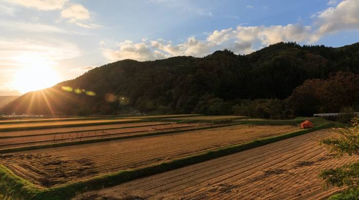 今年市场有多难？家电经销商都快被逼成了思想家-家电圈官网