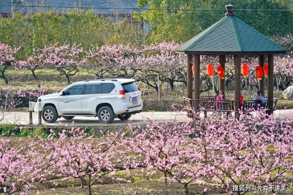 宁波小众赏花秘境，三月春盛，来这里邂逅一片鲜为人知的桃花源