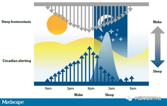 专家谈 清醒还是睡眠，是谁在背后操纵？系统 