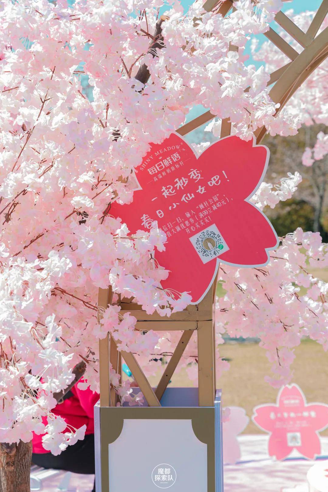 樱花树树牌设计图片图片