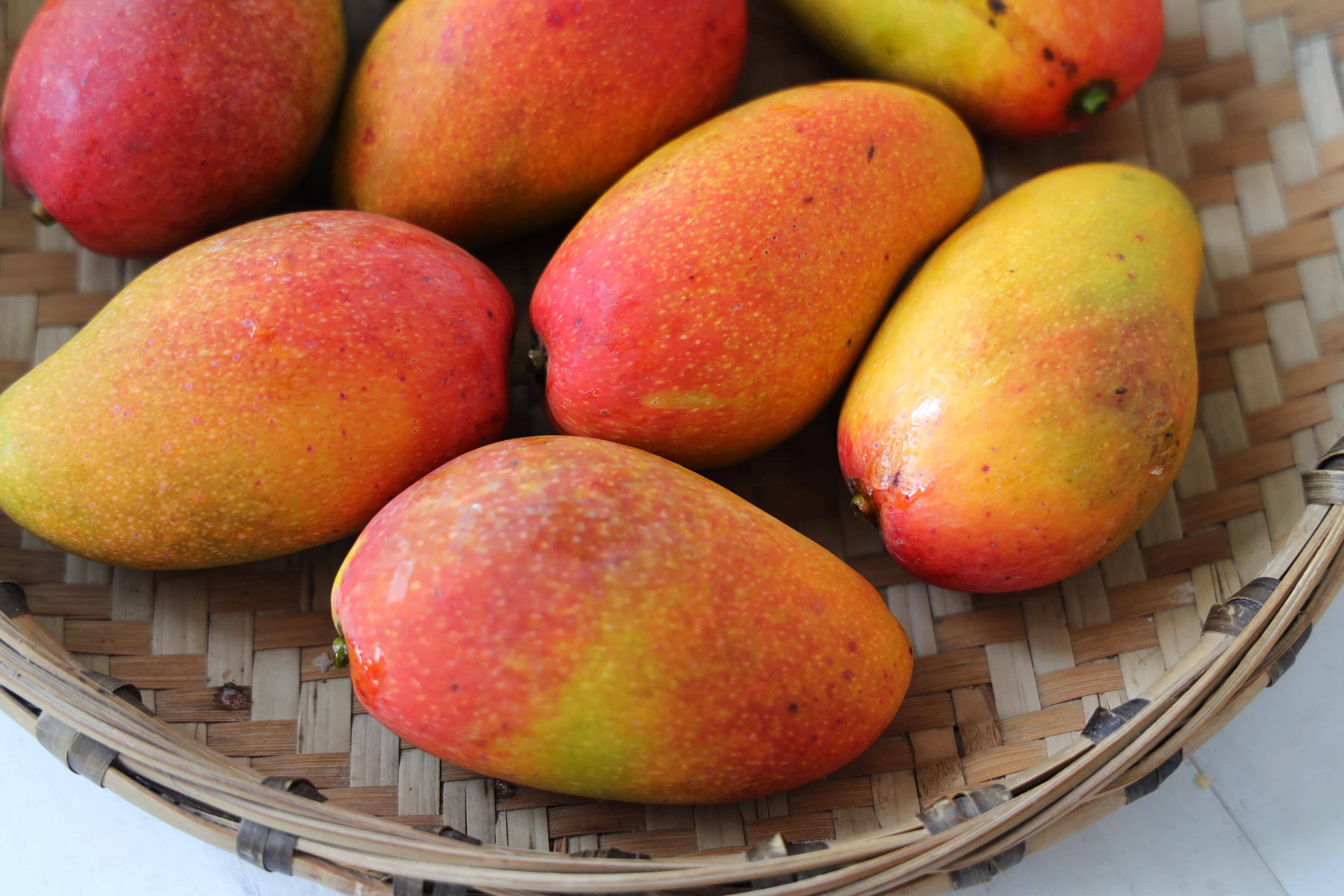 芒果大"比拼",贵妃芒,金煌芒,台农芒到底哪个更好吃?