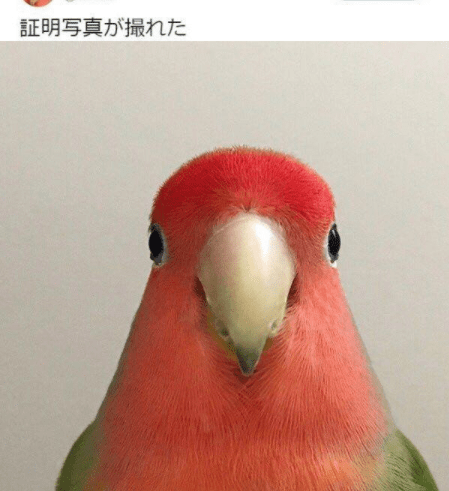 原创
小姐姐你不能走,没付钱呢