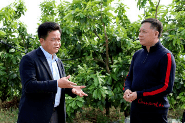 朱汉东推进农业产业高质量发展大力培育文旅融合新业态