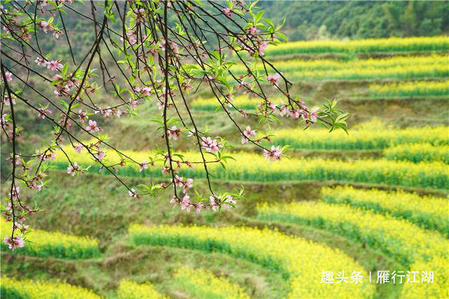 寻找中国最美的春天，江西山崖上的古村落，油菜花盛放美如仙境