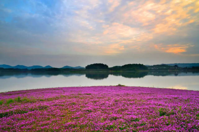 (赤龙湖国家湿地公园 摄影|陈栋 编辑|郑满 编审|李剑林 全德文 总