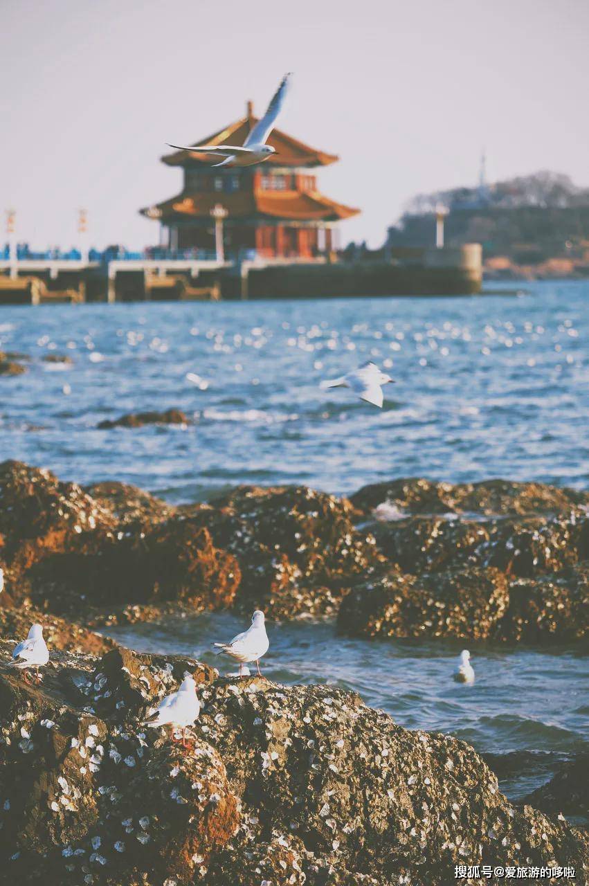 中国这座宜居Top1的海滨老城，一到春天，就美到让人欲罢不能…