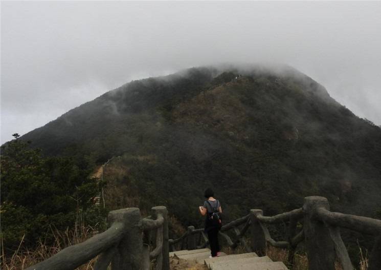 登顶梧桐山，云雾环绕着山峰，有如置身仙境一般