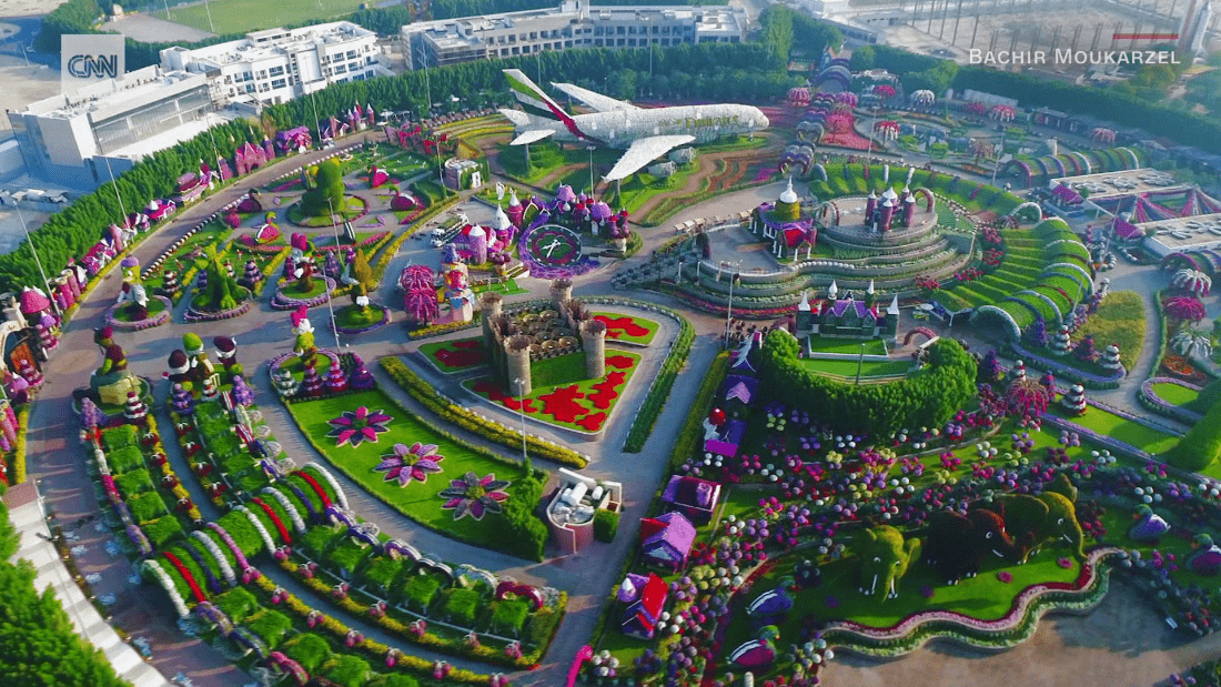 姹紫嫣红的迪拜奇迹花园
