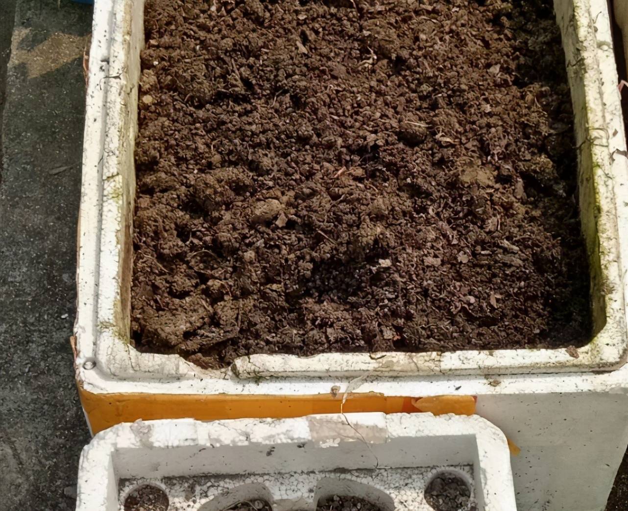 自制肥料养花 家庭小作坊 该准备好哪些材料 植物