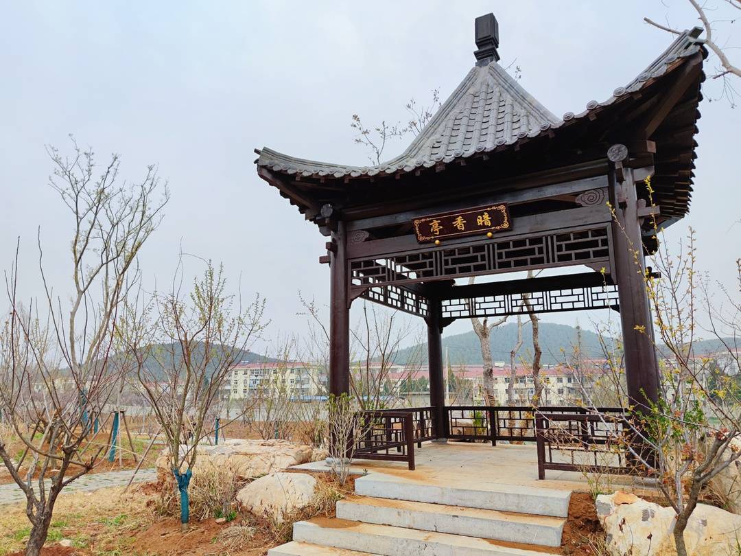 3000余株梅花！徐州“梅花坞”7月建成，就在这个公园！