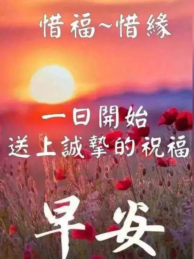 10cebc7927d24561ae20b17d9662f31d.jpeg