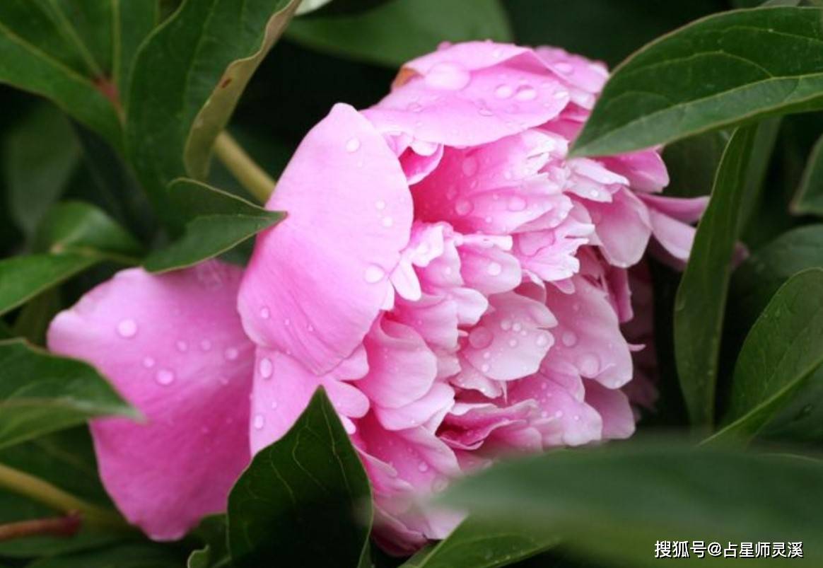 苦尽甘来好运连连 哪些星座3月31日贵人运爆棚 事业