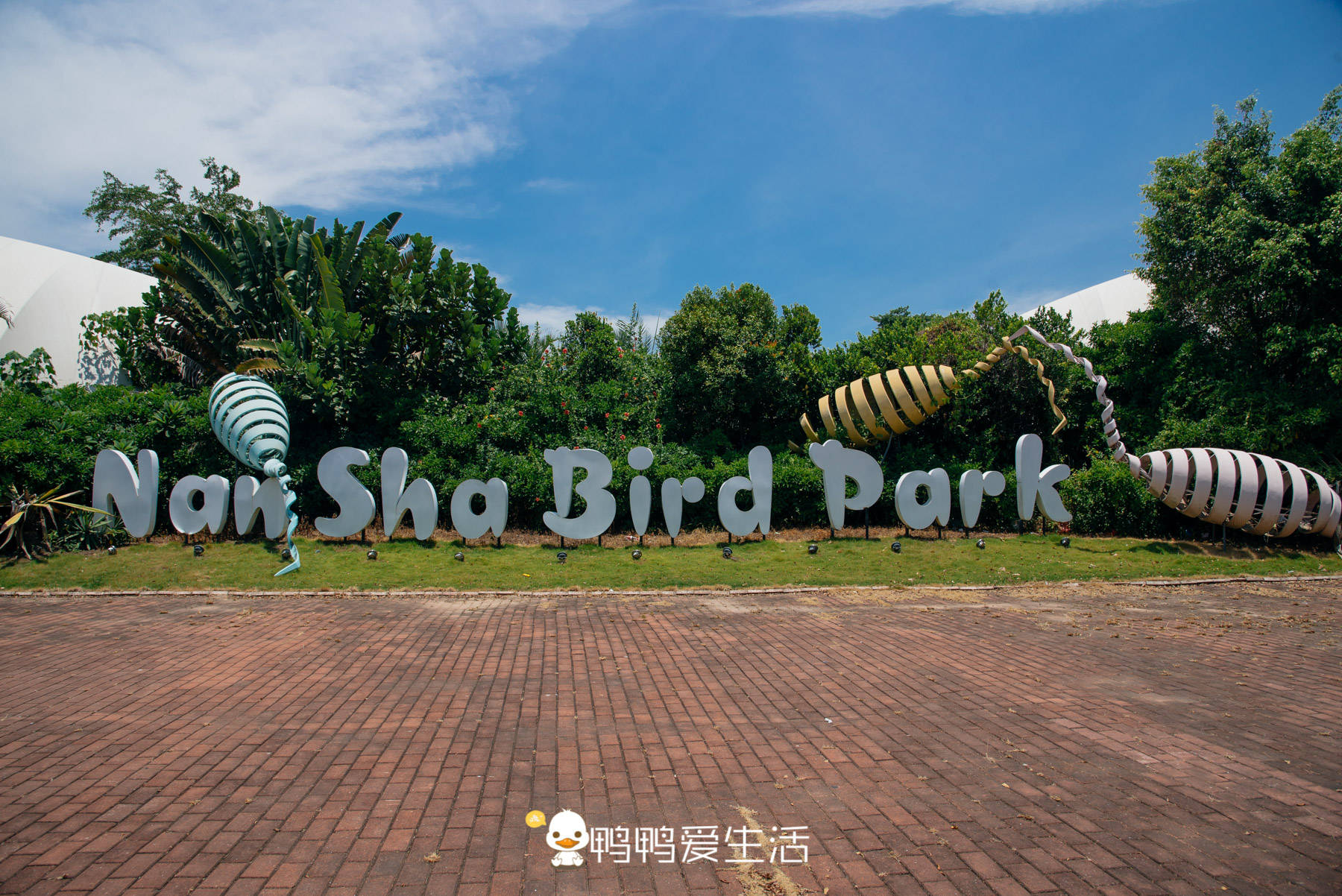 不用去市区人挤人，广州南沙有湿地公园和水鸟世界，亲子游好去处