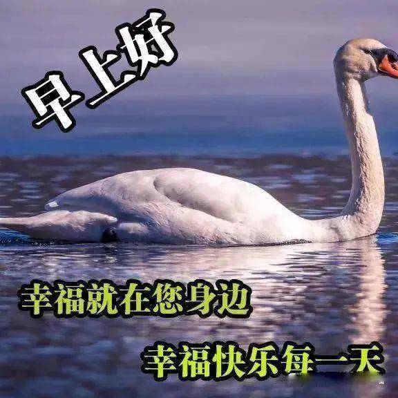 原创最暖心的早上好表情图片最美早上好温馨祝福短信