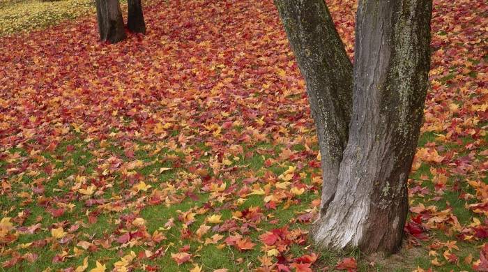 面对产业竞争危局，家电经销商如何端稳自己的“饭碗”?-家电圈官网