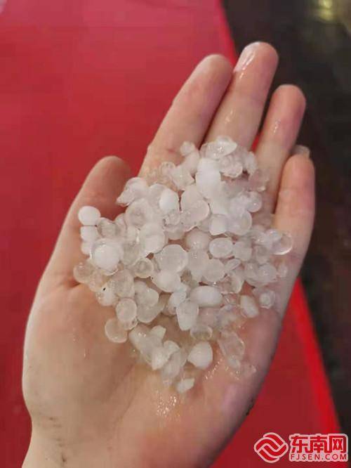 三明大田:三月冰雹狂风暴雨致行道树连根拔起