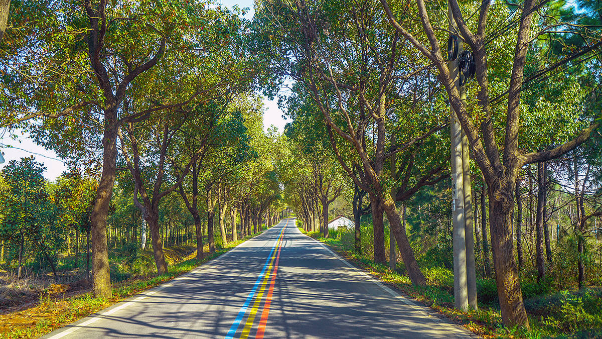 一路成名，只有三种颜色溧阳1号公路，竟被人们称为“彩虹公路”
