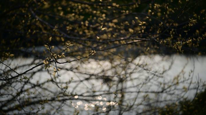 家电厂商集体发力焕新市场，怎能破解涨价引发的经营困扰？-家电圈官网